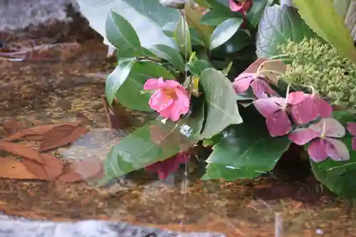 愛宕神社の手水舎