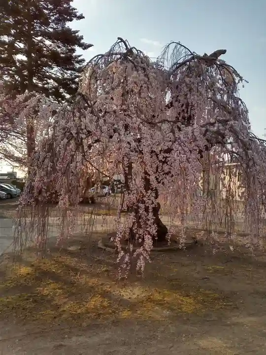 法運寺(宮城県)
