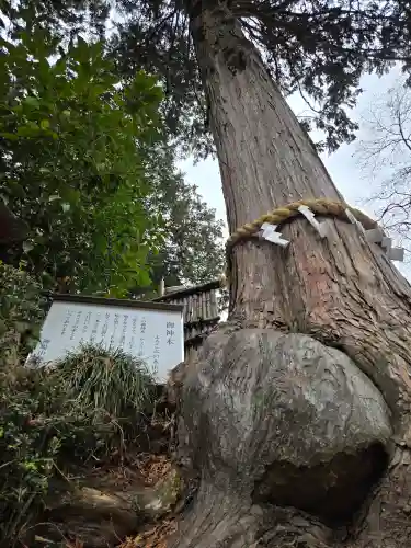 神場山神社(静岡県)
