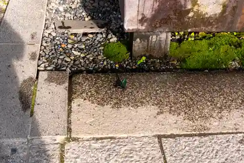 諏訪大社(長野県)