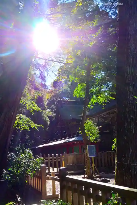 鹿島神宮(茨城県)
