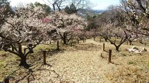 岩津天満宮の庭園