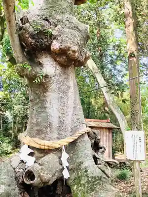 中村八幡宮(栃木県)