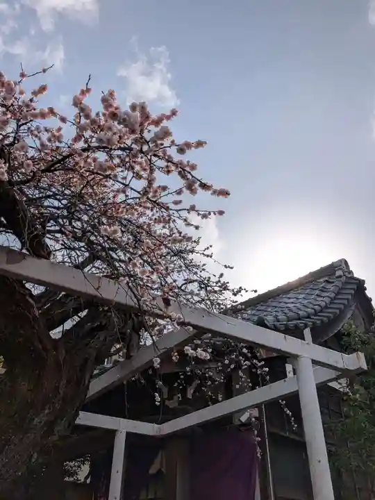 長善寺(東京都)