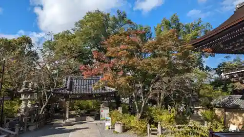 松尾大社(京都府)