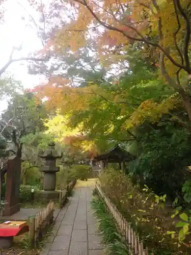 安國論寺（安国論寺）の庭園