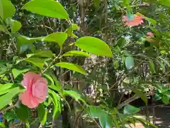 野宮神社の自然