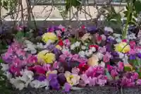 金蛇水神社(宮城県)