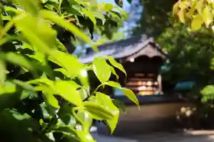三津厳島神社(愛媛県)(2026年05月12日(火) 12時10分57秒投稿)