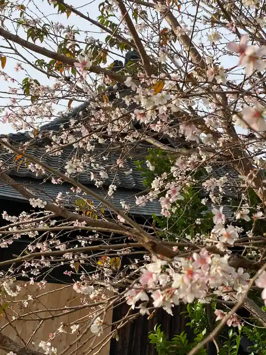 八坂神社(群馬県)