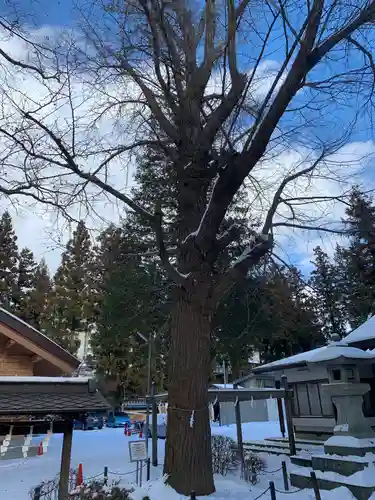 住吉神社の自然