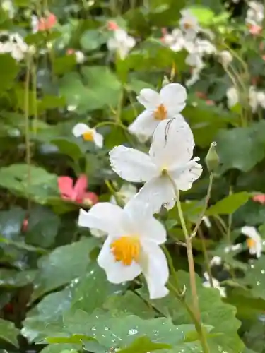 日光大室高龗神社(栃木県)
