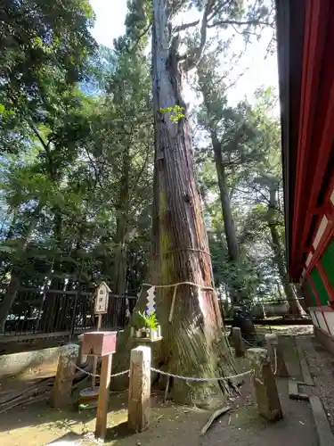 一言主神社の自然