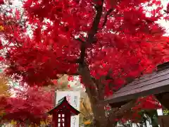 榊山稲荷神社の自然