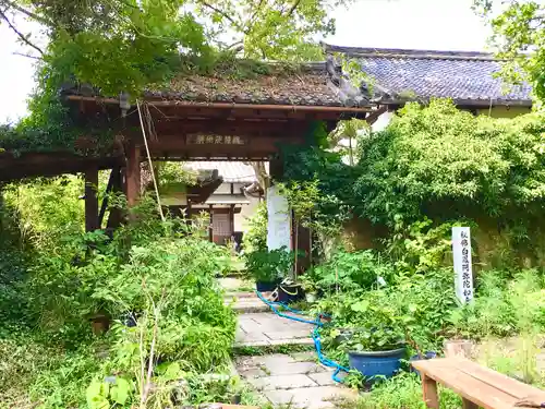 般若寺 ❁﻿コスモス寺❁の山門