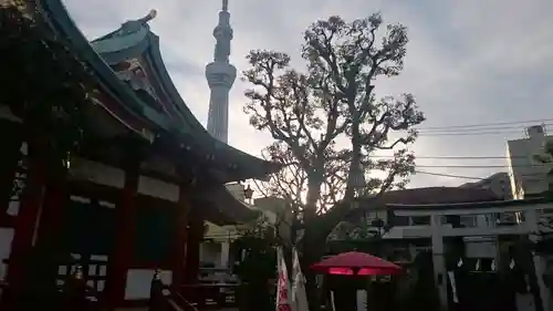 高木神社のその他建物