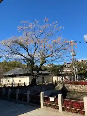 四天王寺のその他建物