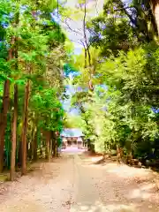 城中八幡神社(茨城県)