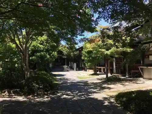 泉増院の庭園