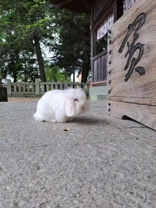 大御和神社(徳島県)