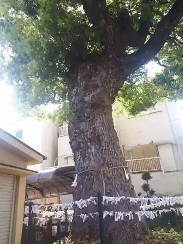 蒲田神社(大阪府)