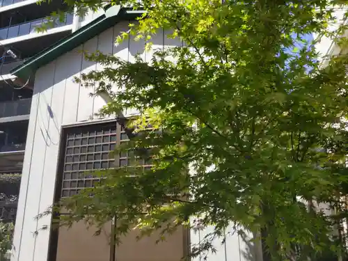 幸町辨財天の自然