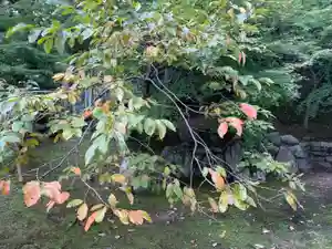 伊勢の国 四天王寺(三重県)(2022年10月14日(金) 10時55分57秒投稿)