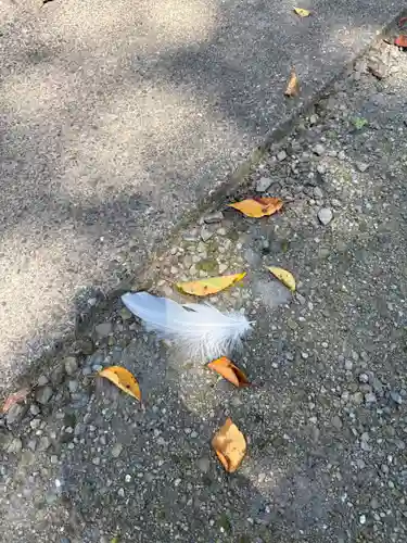 深谷山　瑠璃光寺(埼玉県)