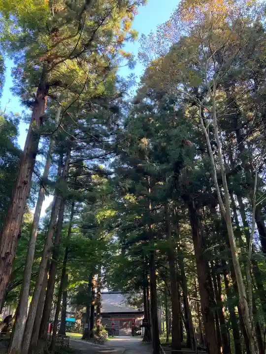 白山神社(岩手県)