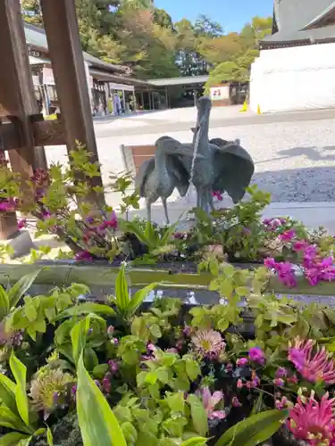 白鷺神社の手水舎
