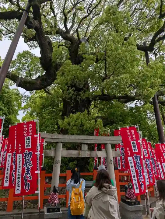 楠珺社(住吉大社末社)(大阪府)