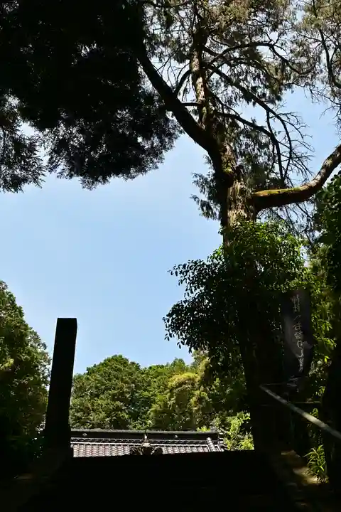 宇都宮神社(愛媛県)