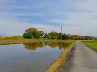 星大明神社(上東川)の自然