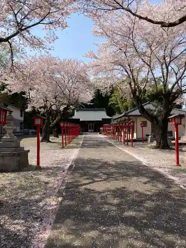 金井神社(栃木県)