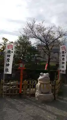 尾張猿田彦神社の狛犬