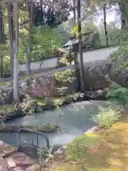 妙巌寺の山門