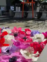 根岸八幡神社(神奈川県)