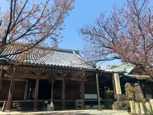 櫻本坊の本殿・本堂