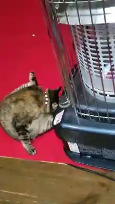 大王寺(石川県)