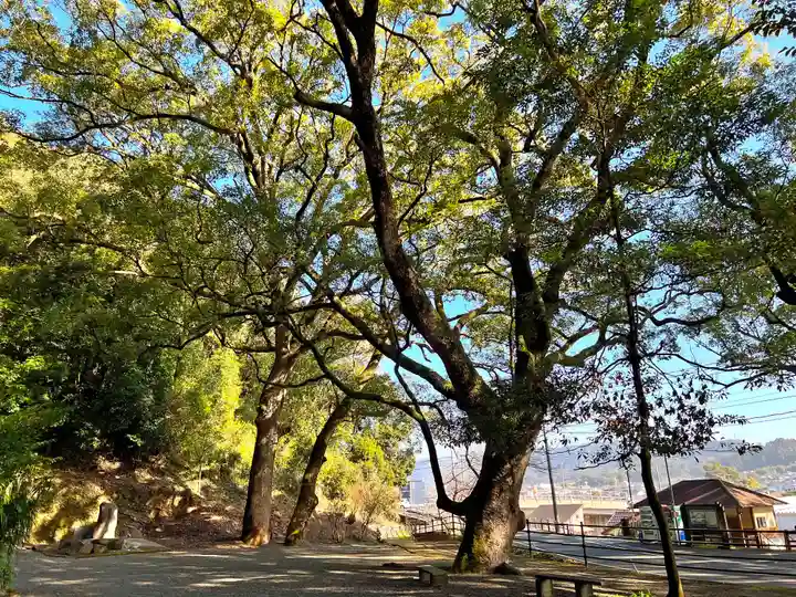 蛭児神社(鹿児島県)