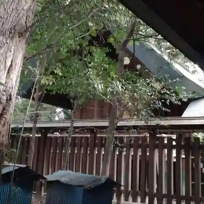 埼玉縣護國神社の本殿・本堂