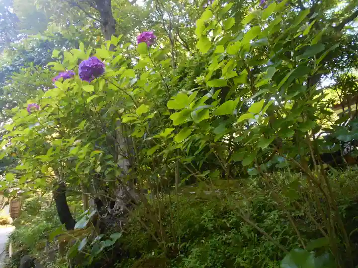 報国寺のその他建物