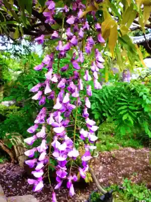 圓照寺(東京都)