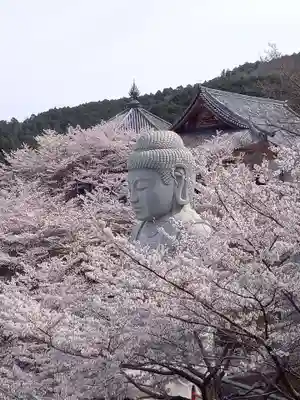 南法華寺（壷阪寺）の仏像