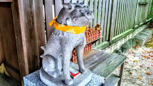 深川神社の狛犬