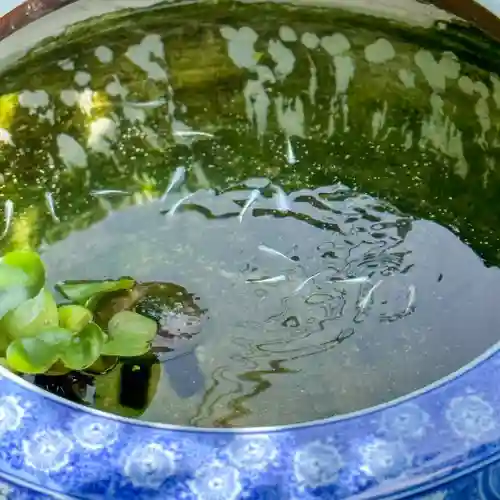 伊勢の国 四天王寺(三重県)