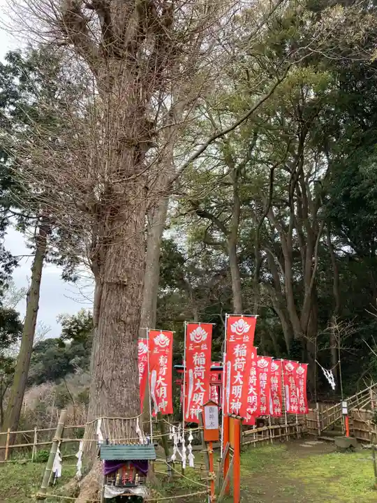 衣笠神社(神奈川県)