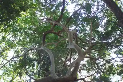 廣瀬大社(奈良県)