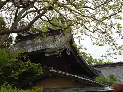亀田八幡宮(北海道)