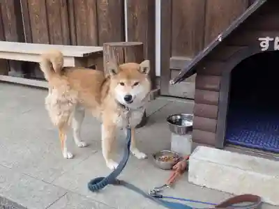 感通寺(東京都)